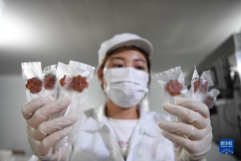 白家乐最稳的打法图